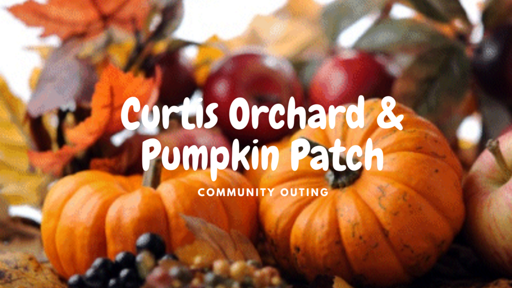 Curtis Orchard & Pumpkin Patch